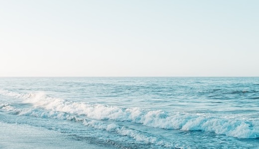 【永遠のテーマ】シマノ派？ダイワ派？釣り人を二分する両雄の歴史とこだわりを徹底比較