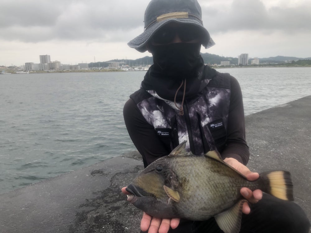 ライトブッコミで釣った高級魚