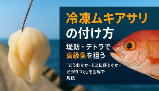 冷凍ムキアサリの付け方と堤防・テトラでの高級魚の釣り方【実践ガイド】｜パンダ Fishing Club ムキアサリ×高級魚講座#3