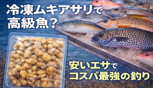 高級魚が簡単に釣れる！冷凍ムキアサリで高級魚があっさり釣れる、コスパ最強の釣り｜パンダ Fishing Club ムキアサリ×高級魚講座 #1