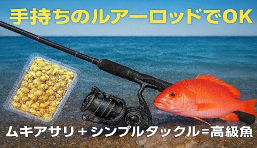 冷凍ムキアサリに最適なタックル・仕掛けを徹底解説【ルアーロッドでOK】｜パンダ Fishing Club ムキアサリ×高級魚講座#2
