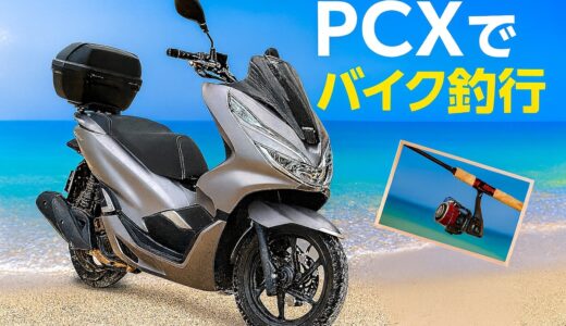 PCX125で3年間バイク釣行してわかったこと｜近所の海で高級魚を追い続けたレビュー