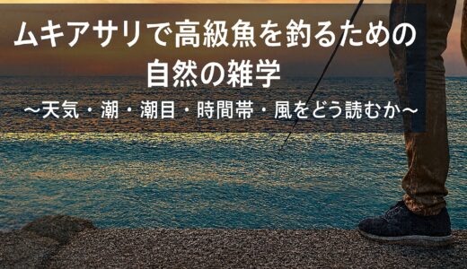 ムキアサリで高級魚を釣るための自然の雑学 〜天気・潮・潮目・時間帯・風をどう読むか〜