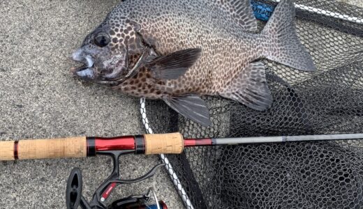 バイク釣行におすすめのリール3選｜用途別の使い分けをPCX125乗りが実体験で解説【2026年版】