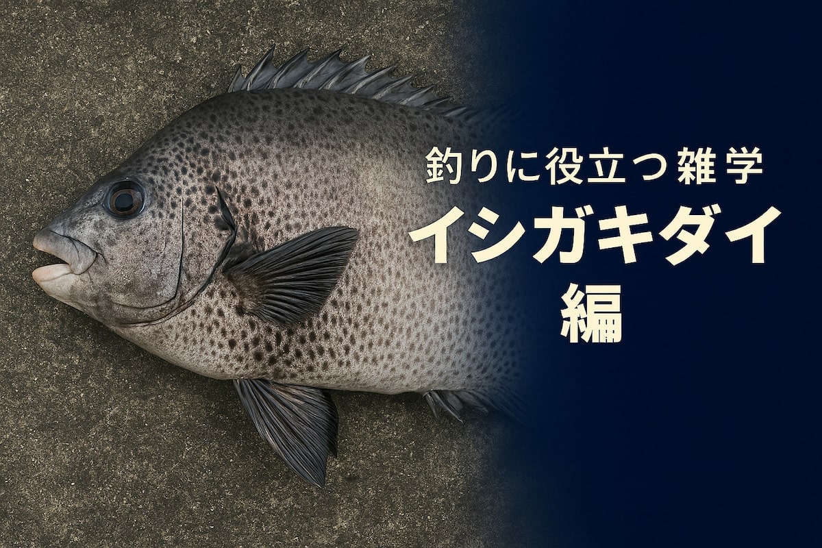 ishigaki01-min.jpg