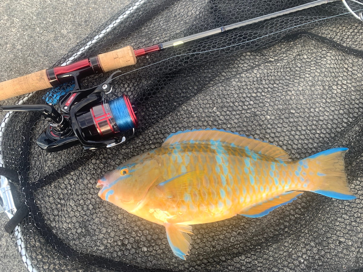 プロフィール背景画像