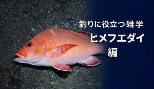 釣果につながる｜釣りに役立つ雑学　〜ヒメフエダイ（沖縄名：ミミジャー）編〜