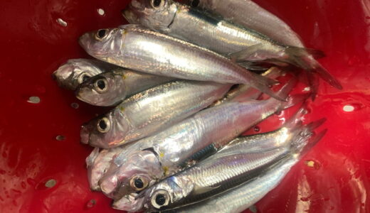 ミジュン（ミズン）