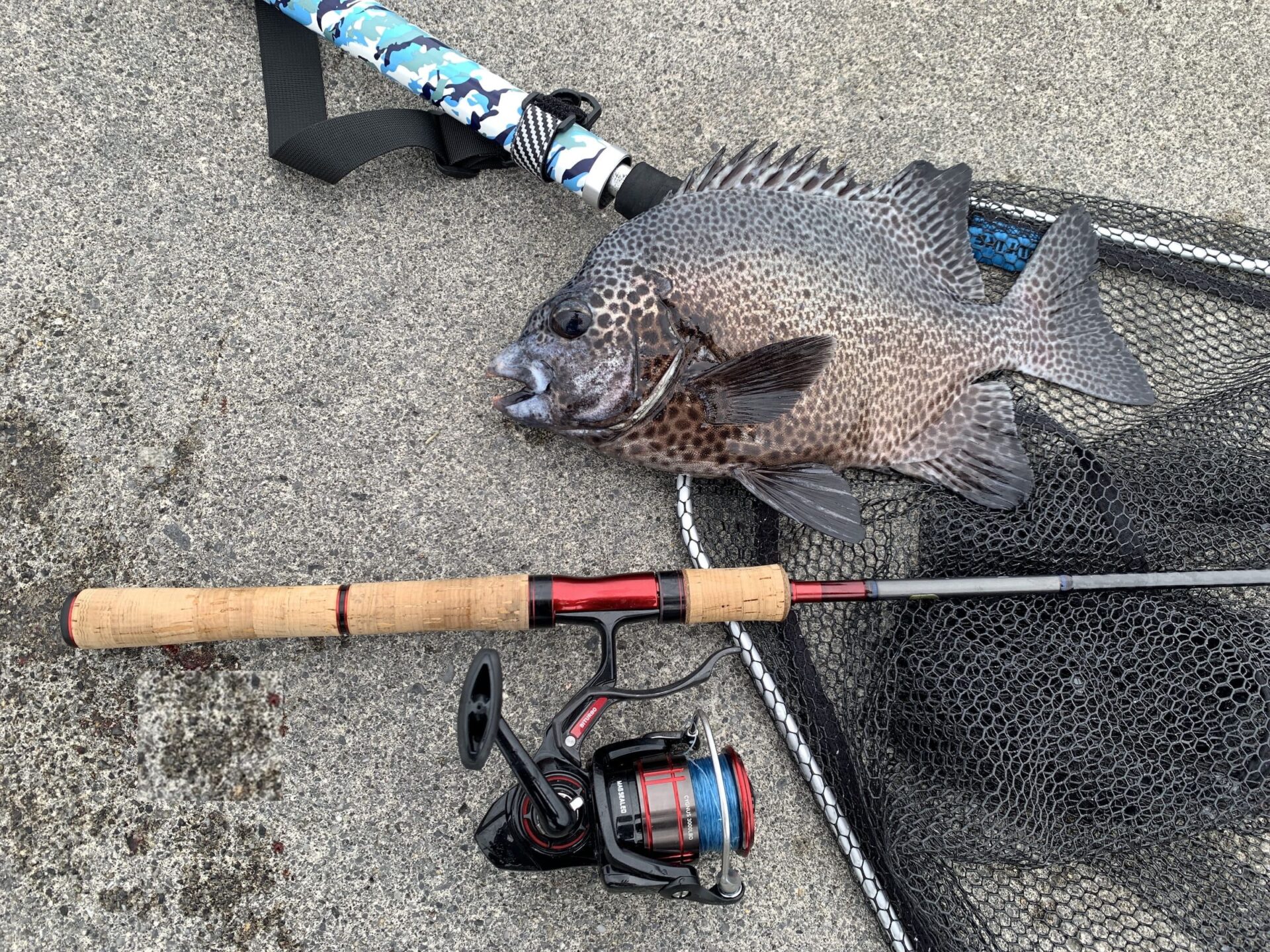 スコーピオン 2602R-5 釣果 沖縄 旅行 遠征 パックロッド 高級魚
