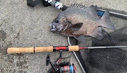 シマノvsダイワ パックロッド比較｜バイク・旅行釣行で選ぶ6モデル完全ガイド【2026年版】