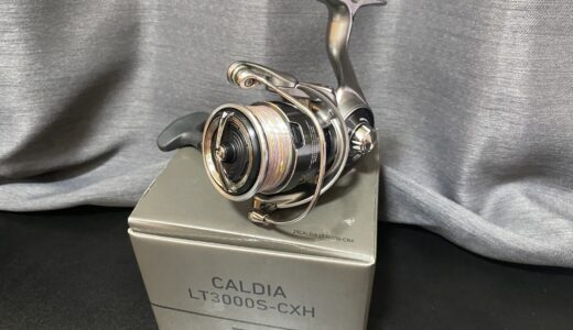 ダイワ 25カルディア LT3000S-CXH レビュー｜エギングで使って分かった軽さと強度、好みが分かれるシャリ感